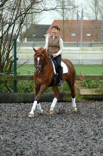 STELLING + BUIGING = LENGTEBUIGING