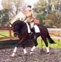 Unbee (lancet x Udonis)